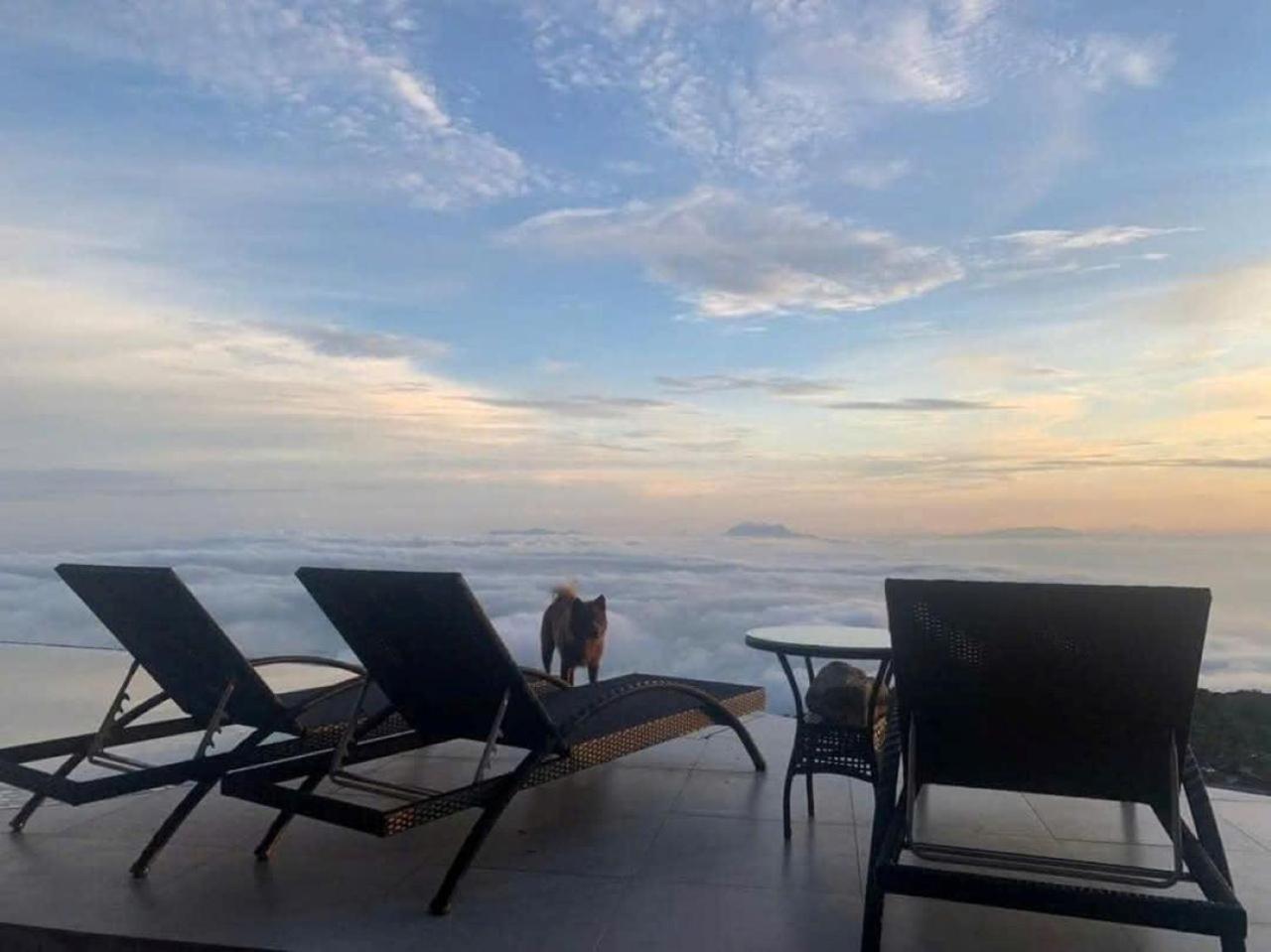 Chuon Chuon Villa Homestay Tam Dao Ngoại thất bức ảnh